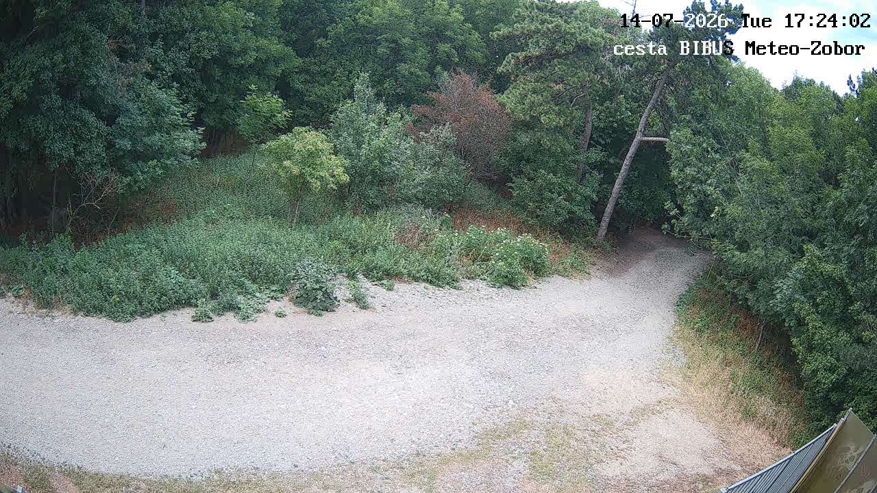Vstup / cesta